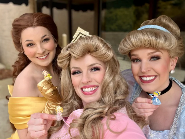 Sleeping Princess | Magnetic Brooch Pin