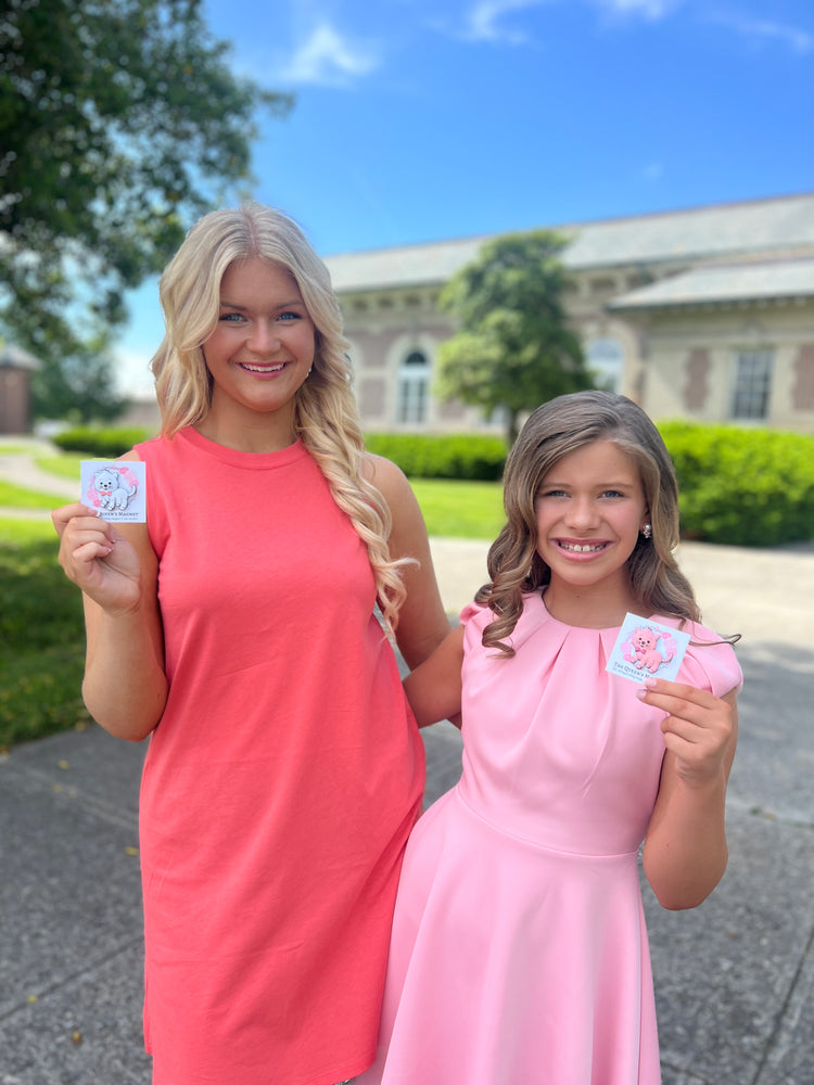 Pink Cat | Magnetic Brooch Pin