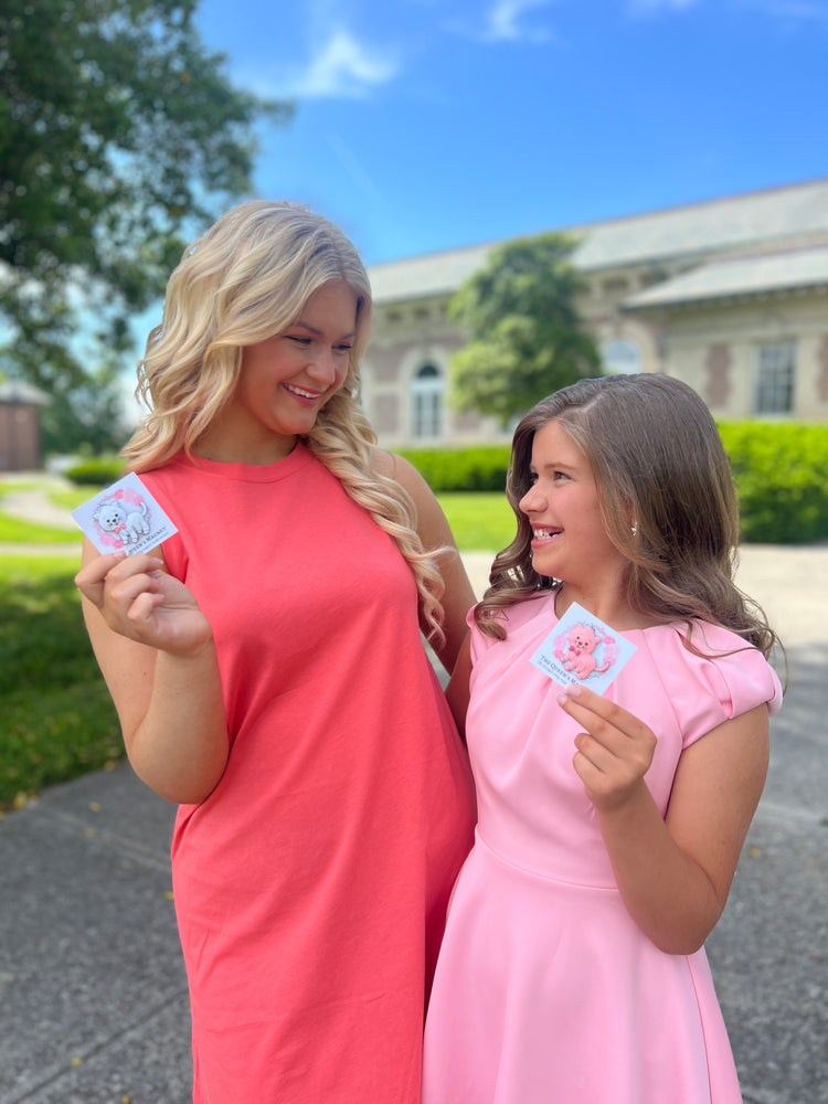 Pink Cat | Magnetic Brooch Pin