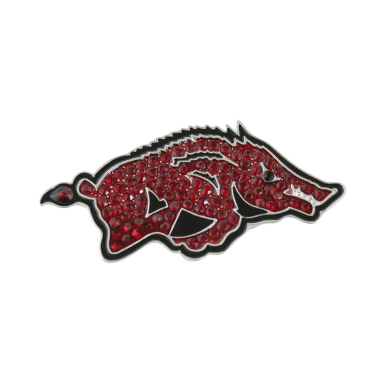 Arkansas Razorbacks